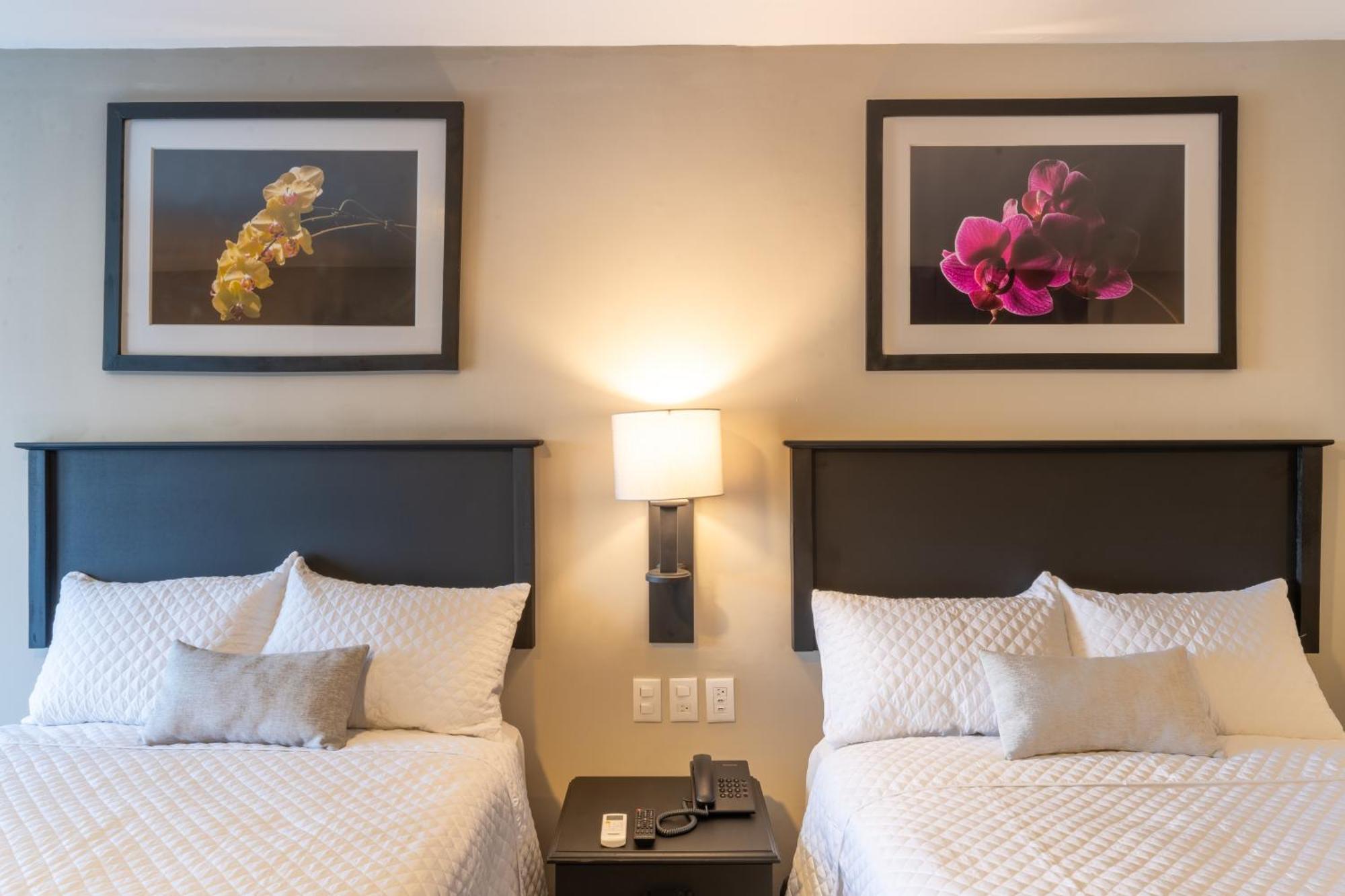Conquistador Hotel & Conference Center Guatemala City Bagian luar foto